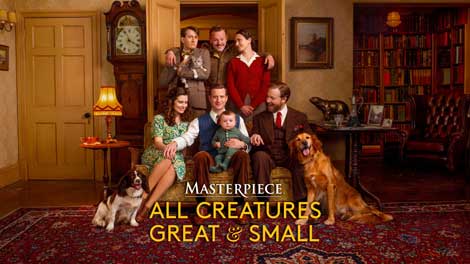 All Creatures Great and Small